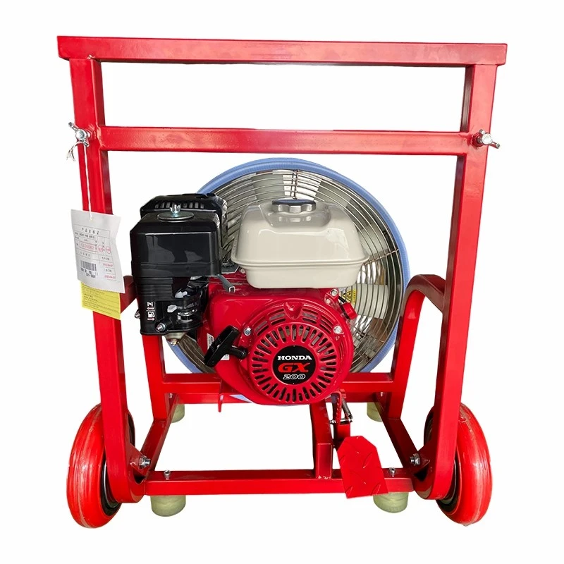 product-800-800 product-800-800